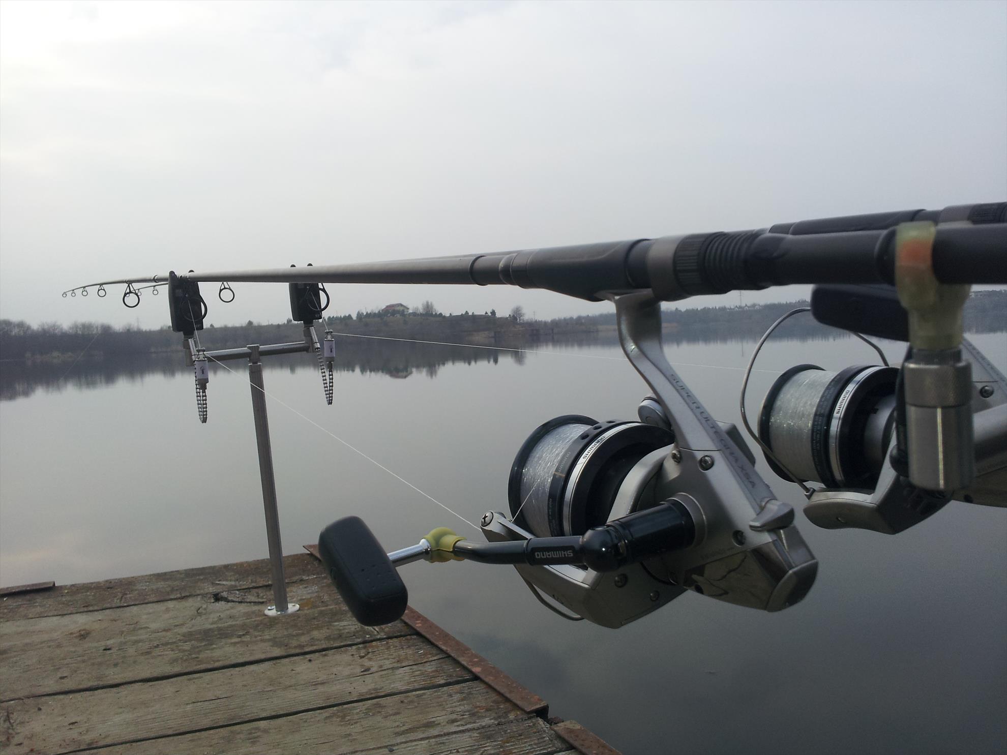 Tancabesti 1 - 2 mar. - 20140301162149.jpg